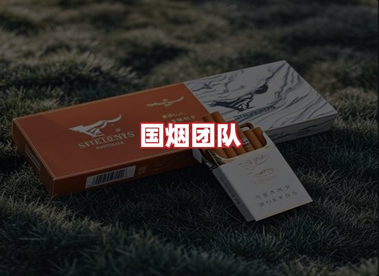 国烟团队